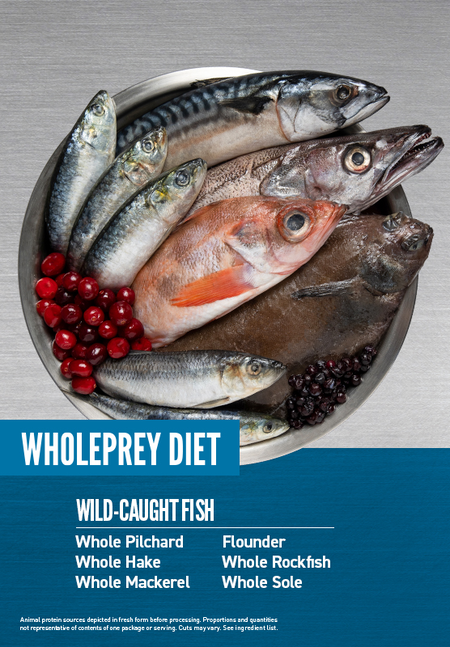 Orijen Kattenvoer Whole Prey Six Fish 5,4 kg