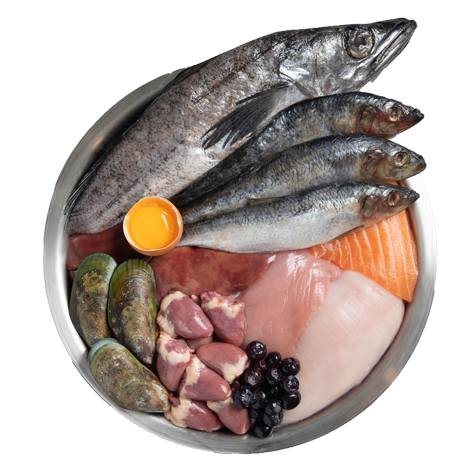 Wholeprey Ingredient Bowl
